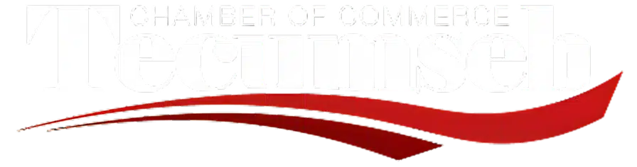A stylized, wavy red swoosh curves gracefully from left to right on a transparent background, with varying thickness and a sleek, modern appearance.
